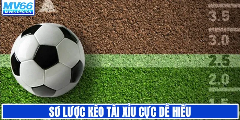 Kèo tài xỉu cho người mới hướng dẫn cực dễ hiểu