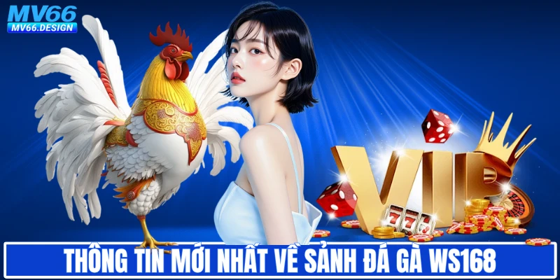 Thông tin mới nhất về sảnh đá gà WS168